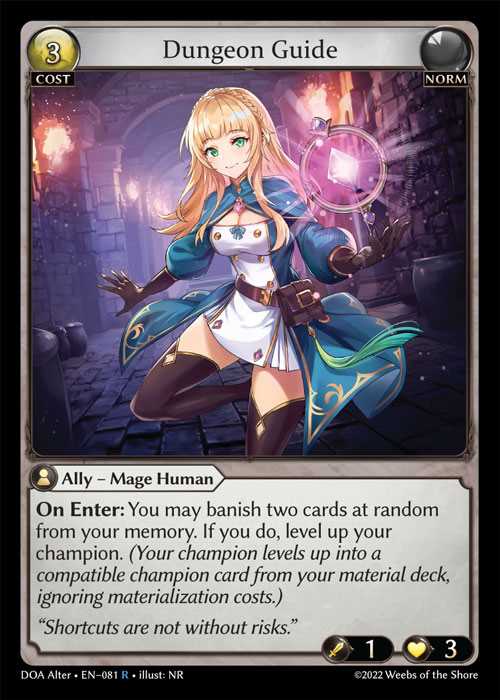 《特価品HP》[Norm] Dungeon Guide [AL-DOA081-R]