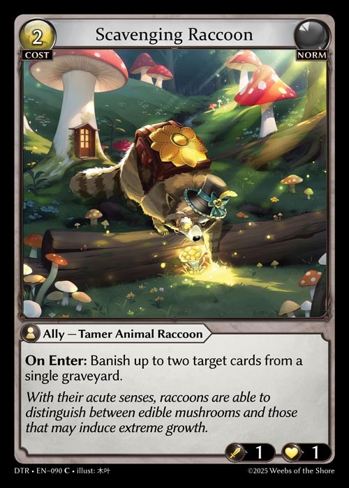 [Norm] Scavenging Raccoon [DTR090-C]