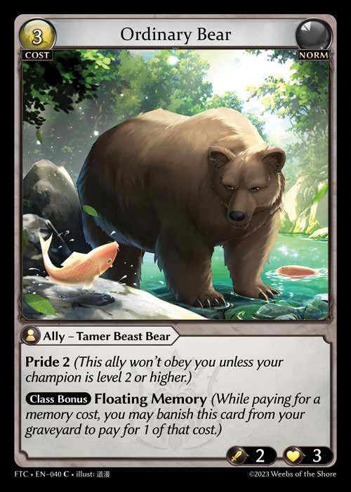 [Norm] Ordinary Bear [FTC040-C]